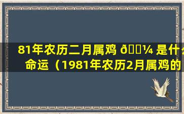 81年农历二月属鸡 🌼 是什么命运（1981年农历2月属鸡的是 🦄 什么命）